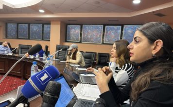 Round table discussion on the constitutional regulations of socioeconomic rights.