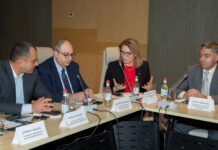 Workshop on “The role of state authorities and civil society in the implementation of Constitutional Court decisions”