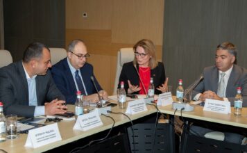 Workshop on “The role of state authorities and civil society in the implementation of Constitutional Court decisions”