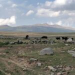Լուսի քաղաք-3