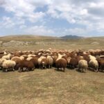 Լուսի քաղաք-7